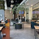 코코애견클럽 이미지