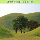 (주)경주지지관광호텔 이미지