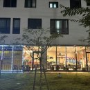 수안이네 이미지