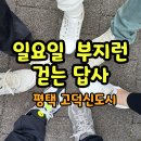 [공지] 일요일 걷는 답사ㅣ평택 고덕신도시 (5월 18일 일요일 아침 8시)