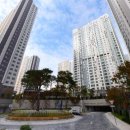 중앙동215 이미지