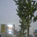 육봉달333 이미지