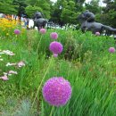 (주)나비원 이미지