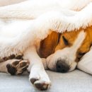 서림동물병원 이미지