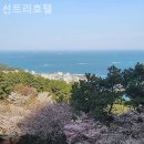 선트리 호텔 | 해운대호텔 선트리호텔 인근 지하철 접근성