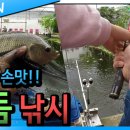 역돔낚시터 이미지