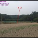 (주)삼안레미콘 | 경북 영천시 토지(답)경매, 영천시 신녕면 연정리 914 # 2017타경103382 #
