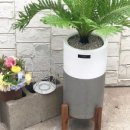 금호농원 이미지