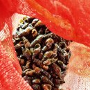 대구중앙고등학교 이미지