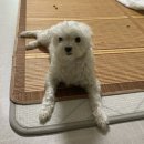 살롱드몽몽 이미지