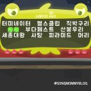 대왕헬스클럽 이미지