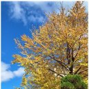 바로 행정사사무소 이미지