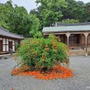 선교장 앞 이미지