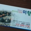 괴산미향 이미지