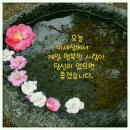 07월 06일(목) 신문을 통해 알게된 이야기들 이미지