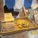 마이펫택시 | 2024 일산 킨텍스 에서 열리는 마이펫페어 오픈런 후기까지