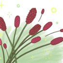 마포갈비 이미지