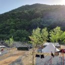 내를 건너서 숲으로 캠핑장 이미지