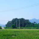동산1리경로당 이미지
