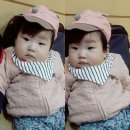 롯데마트 석사점 | 춘천 롯데마트 문화센터(석사점) 날아라병아리 수업(수강후기)