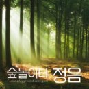숲놀이터정음
