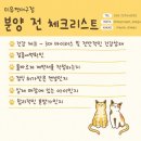 밀양우리병원 | 밀양강아지분양 우리 가족 행복 시작 후기