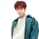 씨네끌레르