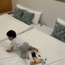 [여행] 30개월 아이와 함께하는 2박3일 제주여행, 제주도 숙소 저상형 숙소 추천 &#39;명월편지 독채펜션&#39;
