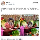 보고유치원 이미지