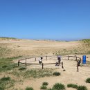 한국의 사막, 태안 신두리 해안사구 이미지