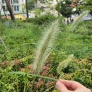 8월 ② 관계에서 집착을 내려놓아요 / 6개월 기다려서 방문한 이대보련산