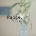 퍼지네일(Fudge nail)