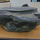 덕소자연사박물관 이미지