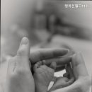 행복한헬퍼114