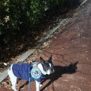 보듬보듬 이미지