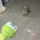 모전愛(애) 사우나 | [4月]僕等は完全無欠じゃ無い原型を愛せる訳でも無い