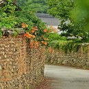 학동마을 이미지