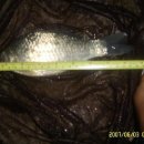 황산가든 이미지