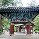 새만금초등학교 | 내소사 답사기