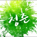 청춘여행사