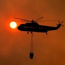 靑龍의 비상 이미지