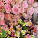 김해꽃식물원 이미지