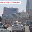 사하구 을숙도대로 이미지