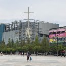 구동명쾌유테라피 이미지