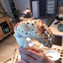 왕대수산