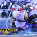 보라카이 오락실 이미지