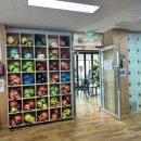 하동코리아짚와이어 이미지