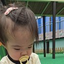 직구신난다