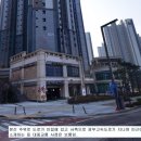 디엠