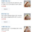 베베꼬
